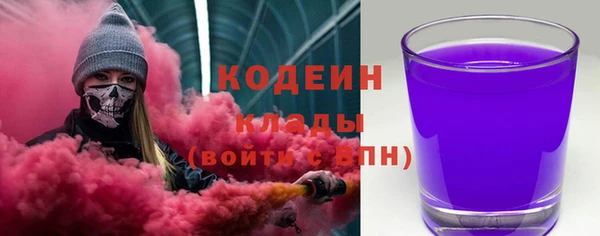 стаф Арсеньев