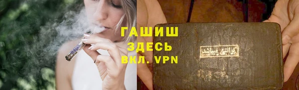 стаф Арсеньев