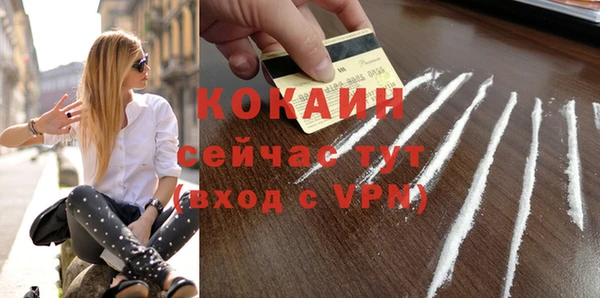 стаф Арсеньев