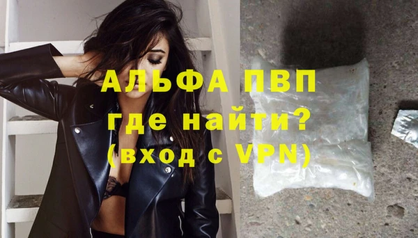 стаф Арсеньев