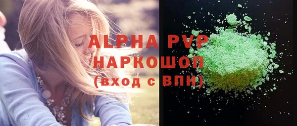 стаф Арсеньев