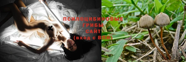 spice Алексин